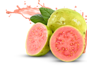 Guava (Pink Taiwan)