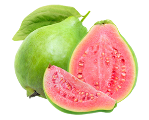 Guava (Pink Taiwan)