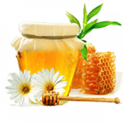 Raw Honey